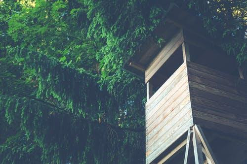 Treehouse Keyhole Building a Treehouse Key Things to Do - The Dedicated House