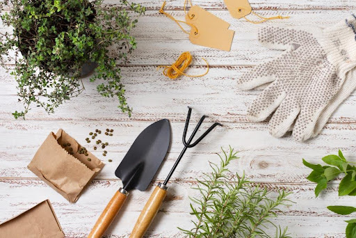 Gardening Tips: Expert Advice for a Flourishing Garden